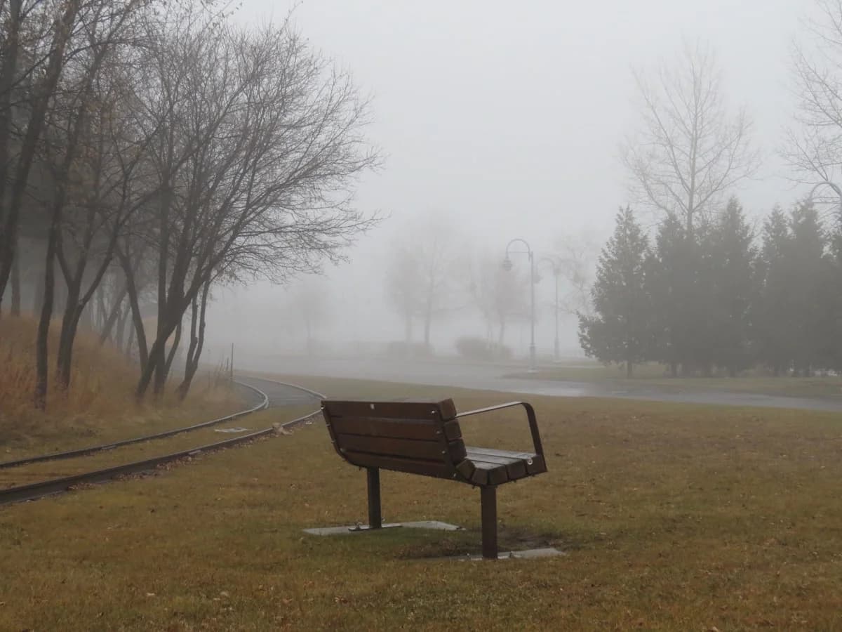 Brown wooden bench on green grass field surrounded by fog