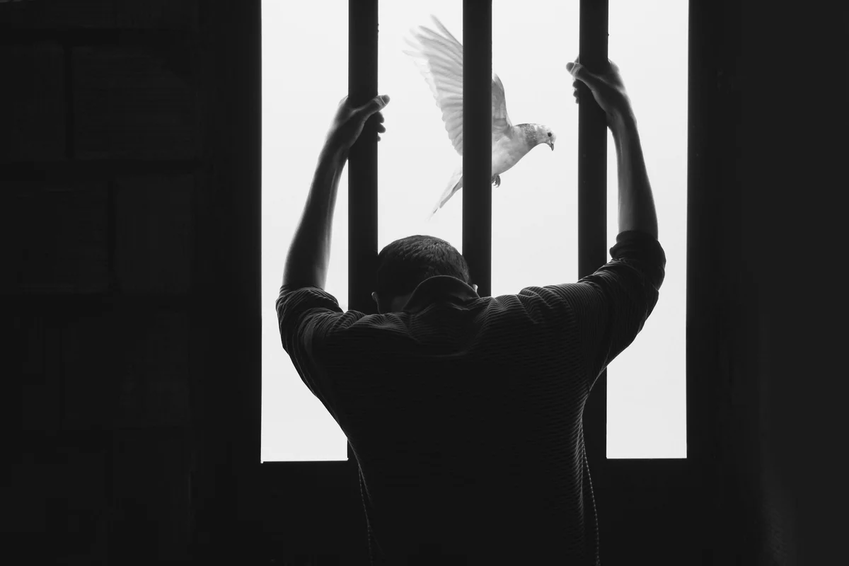 The Fortress You Built to Protect Yourself is Your Prison