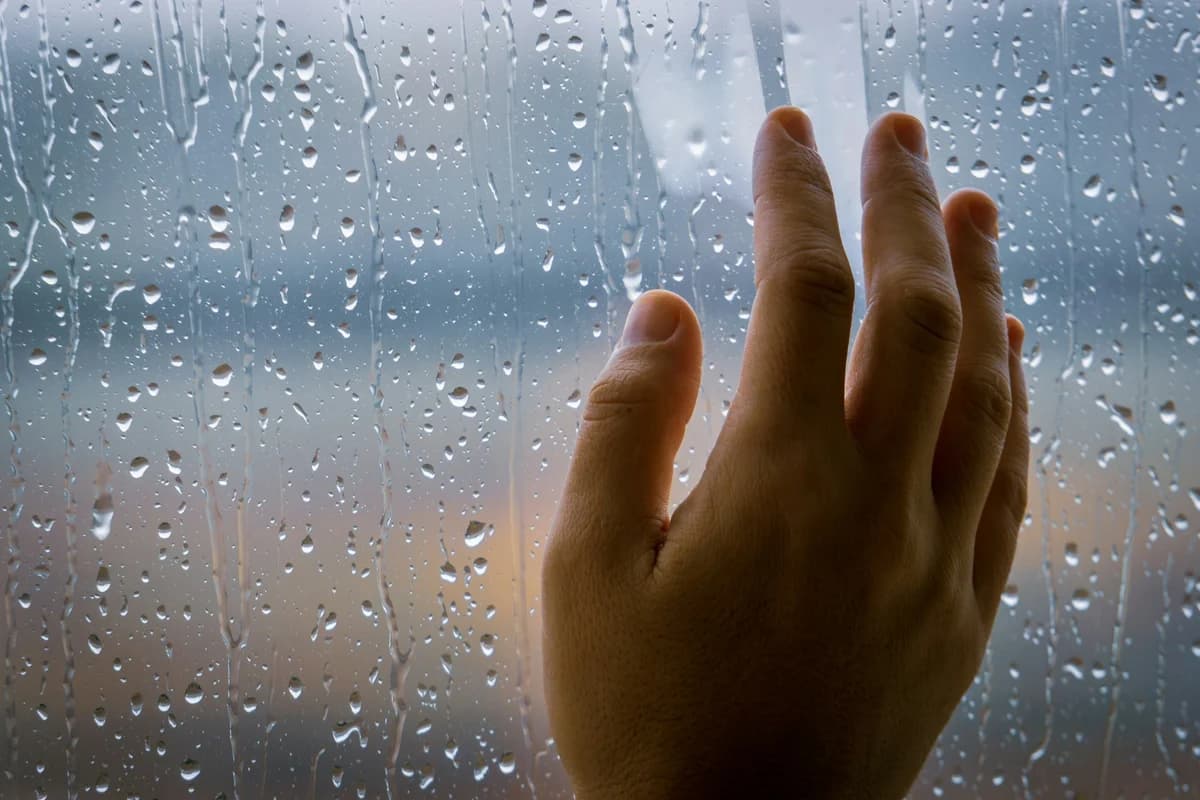 A person's hand reaching out of a window in the rain